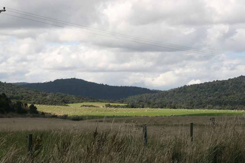 Nieuw-Zeeland 2011 - 1786
